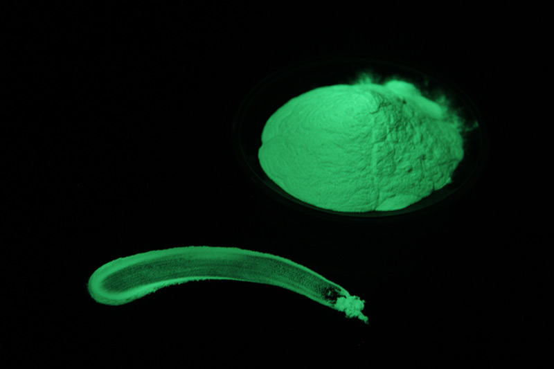 how long does glow powder last?